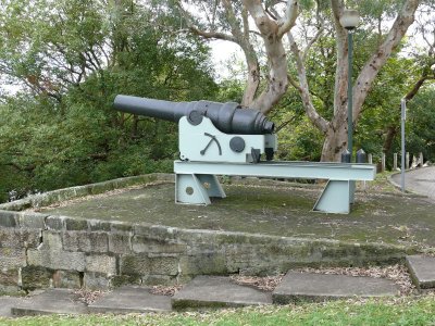 110 Pound (7 inch) RBL Armstrong Gun