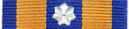 Defence Force Service Medal with Clasp